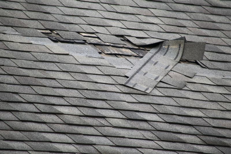 Shingle Repair Service