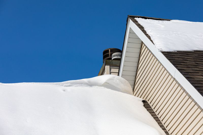Winter Roof Coverings
