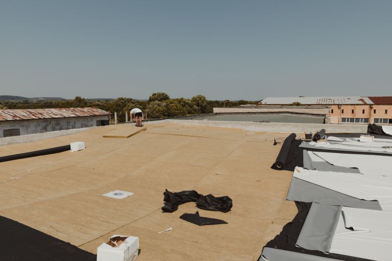 Tpo Roof Coating Service
